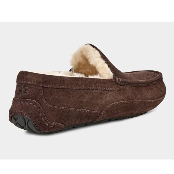 UGG Ascot Men's Slipper - Picture 4 of 5